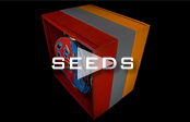 Seeds – Holzbuch Studie II